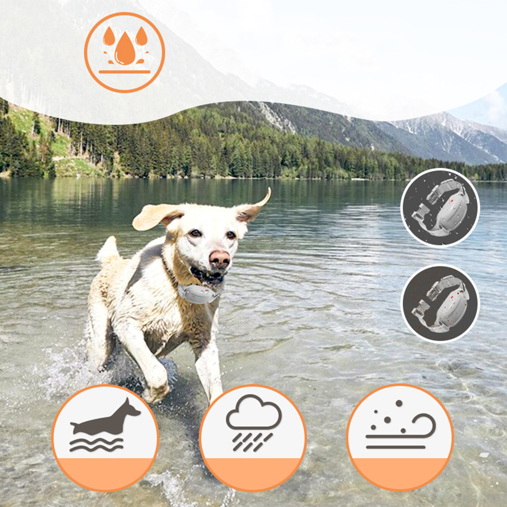 Bark Collars: Dog Bark Collar with Adjustable Collar, Electric Shock, Vibration Mode – Waterproof Pet Accessories (White)