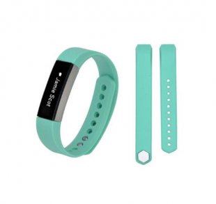 Wholesale Fitbit Alta / HR Replacement Wristband Band Wrist Strap Mint Green_S