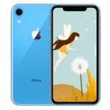 Wholesale 6.1 Inch Screen Apple iPhone XR 12MP+7MP Camera 2942mAh RAM 3GB blue_64GB