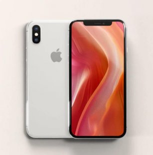 iPhone X 64GB(White)