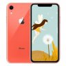 Wholesale 6.1 Inch Screen Apple iPhone XR 12MP+7MP Camera 2942mAh RAM 3GB coral_64GB