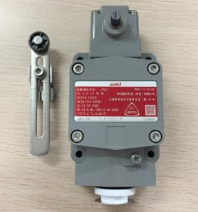 Abctay AYAMATAKE 1LX7003-P Limit Switch