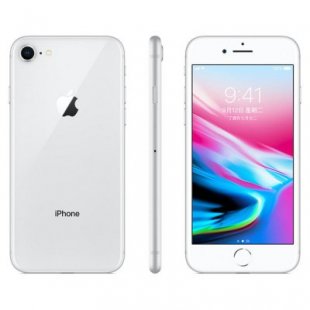 Wholesale Apple iPhone 8 12MP+7MP Camera 4.7-Inch Screen Hexa-core IOS 3D Touch ID LTE Fingerprint Phone with Euro Plug Adapter Silver_64GB