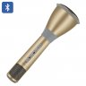 TUXUN K068 Karaoke Microphone + Speaker - Bluetooth 3.0, KTV Karaoke Effects, Recording Cable, 1000mAh Battery (Gold)