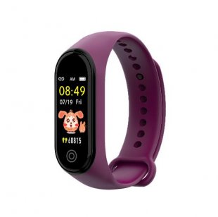 Wholesale Fitness Tracking Sports Bracelet Heart Rate Blood Pressure Smart Bracelet Health Monitor purple New RD05 Bracelet Smart Watch